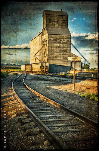 Mill at Iona by James Neeley