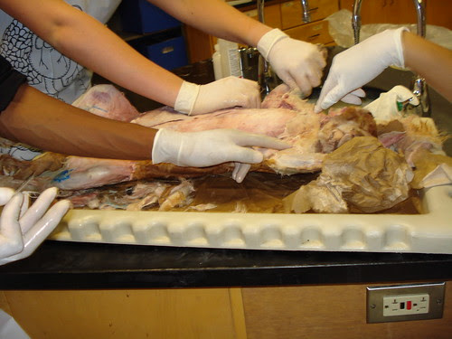  It takes 4 hands to skin a cat 