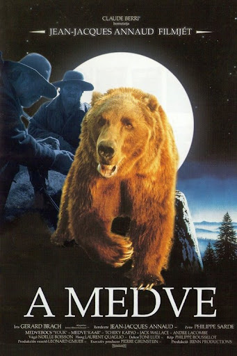 Kép