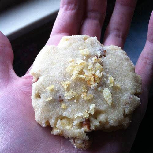 Cookies by jenib320