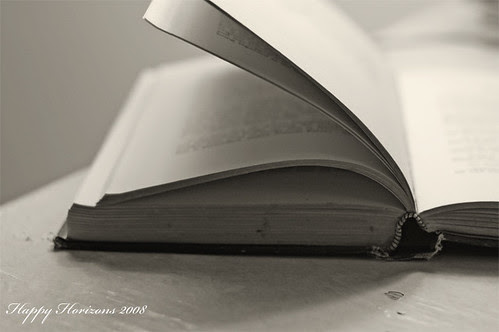 The World is a book, and those who do not travel read only a page.