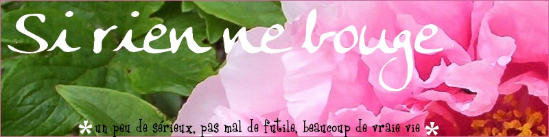 Si rien ne bouge