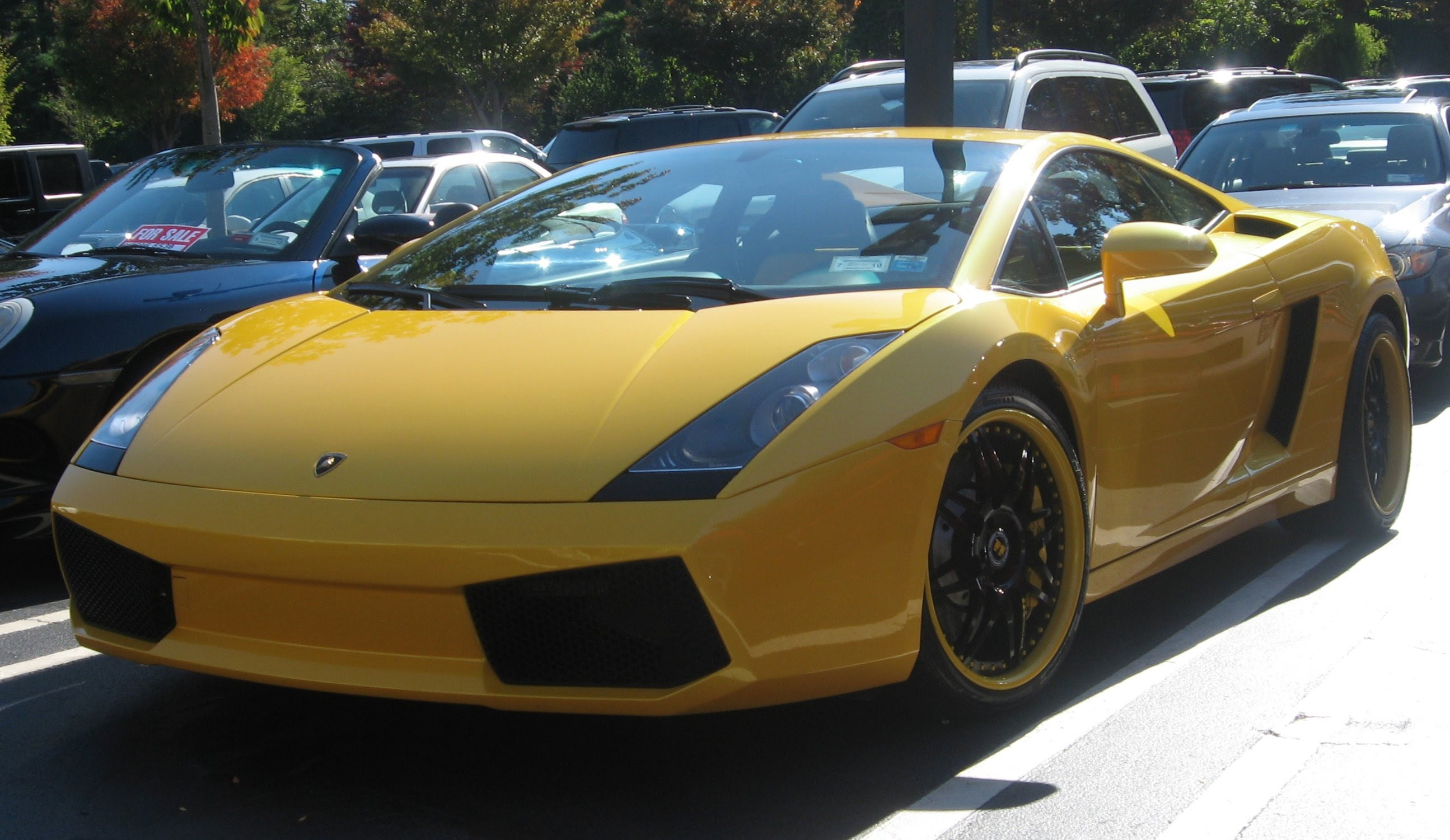 inthe lamborghini gallardo