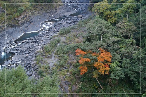 PICT0150