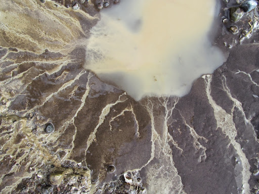 The Rain is Back, and So am I