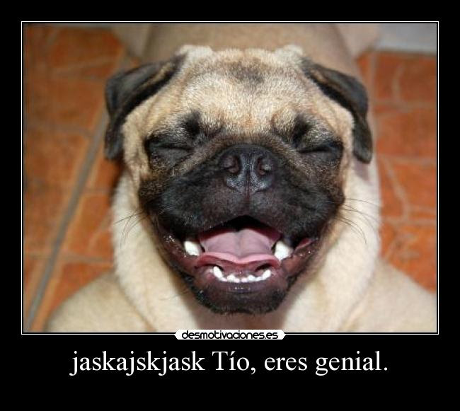 Imágenes y Carteles de RISITAS Pag. 2 | Desmotivaciones