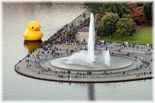 Pittsburgh three rivers duck (photo by Howard Blichfeldt)