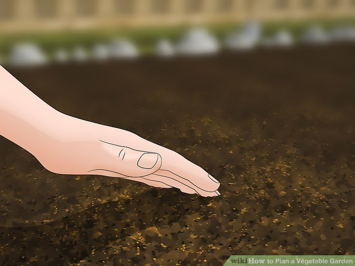 Plan a Vegetable Garden Step 11.jpg
