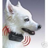 Image No Bark Collar
