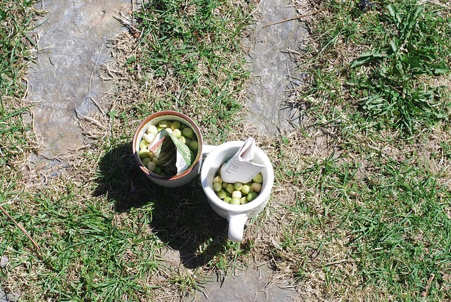peas