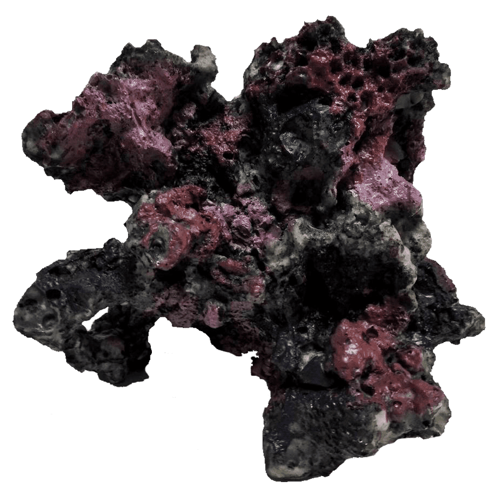 装飾珊瑚 ライブロック O