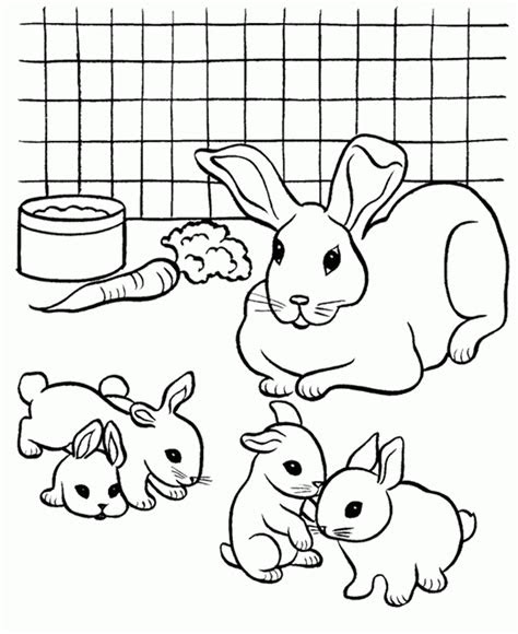 Every rabbit coloring page is a printable pdf . rabbit coloring pages coloring home