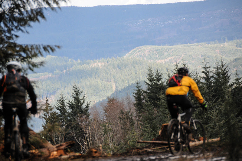 Timber Logjam-52.jpg