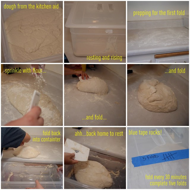 Rosie Bread 2
