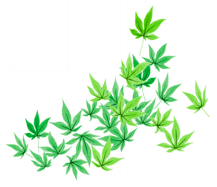 青紅葉と赤紅葉 Tsumura Illustration Studio