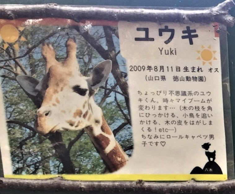フ シ ギ ﾟ ﾟ なキリンさん 杜の休日倶楽部