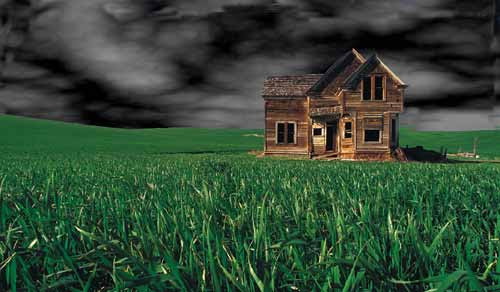 backgrounds for web pages