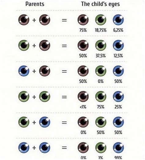  guide on eye color rcoolguides