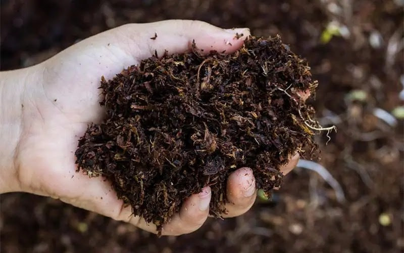 Switch to organic fertilizer and enjoy the benefits!
