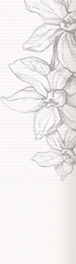 orchid-left