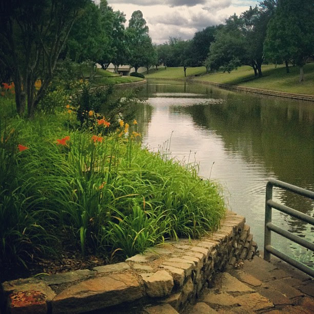 Serenity