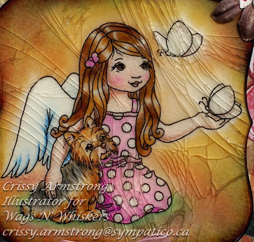 Ansley angel upclose