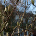 20120314-IMG_0747