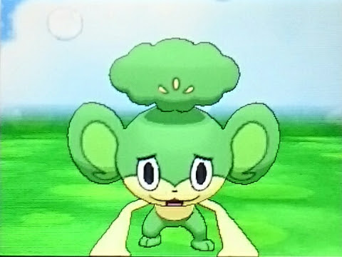 せとかのいろちがい記 ヤナップ