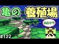いろいろ マインクラフト 亀 卵 孵化 200979-マインクラフト 亀 卵 孵化
