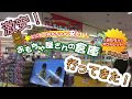 おもちゃ屋さん ライオン 284218-おもちゃ屋さん ライオン