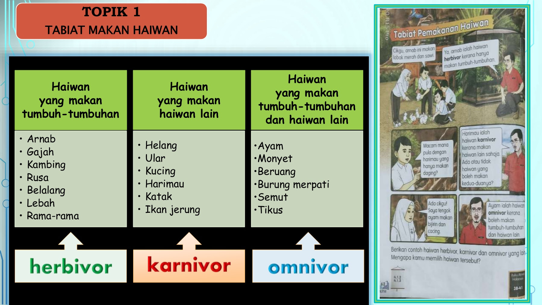 HAIWAN THN 3