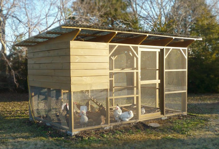 Coop Larger – Marty's Texas Chicken Coop ::: Coop Thoughts Blog