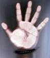 hand