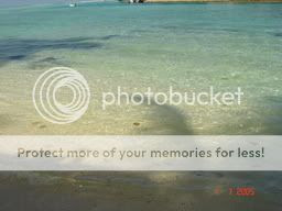 Image hosted by Photobucket.com