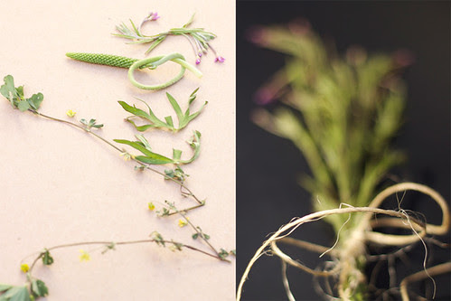 Weed Writing & Twine