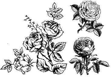 Free Free 322 Drawn Flower Svg SVG PNG EPS DXF File