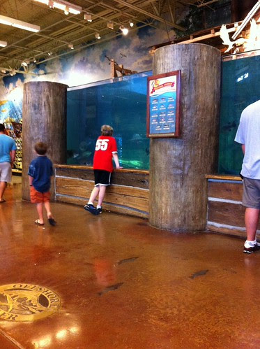 Feeding Time at Bass Pro Shop in Atlanta