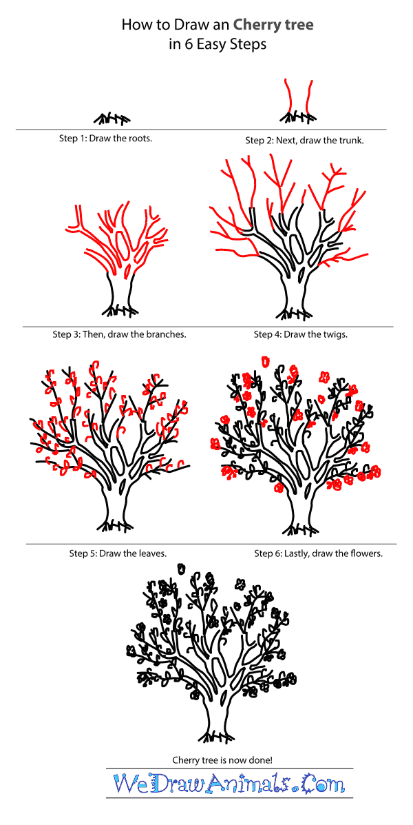 How To Draw A Cherry Tree