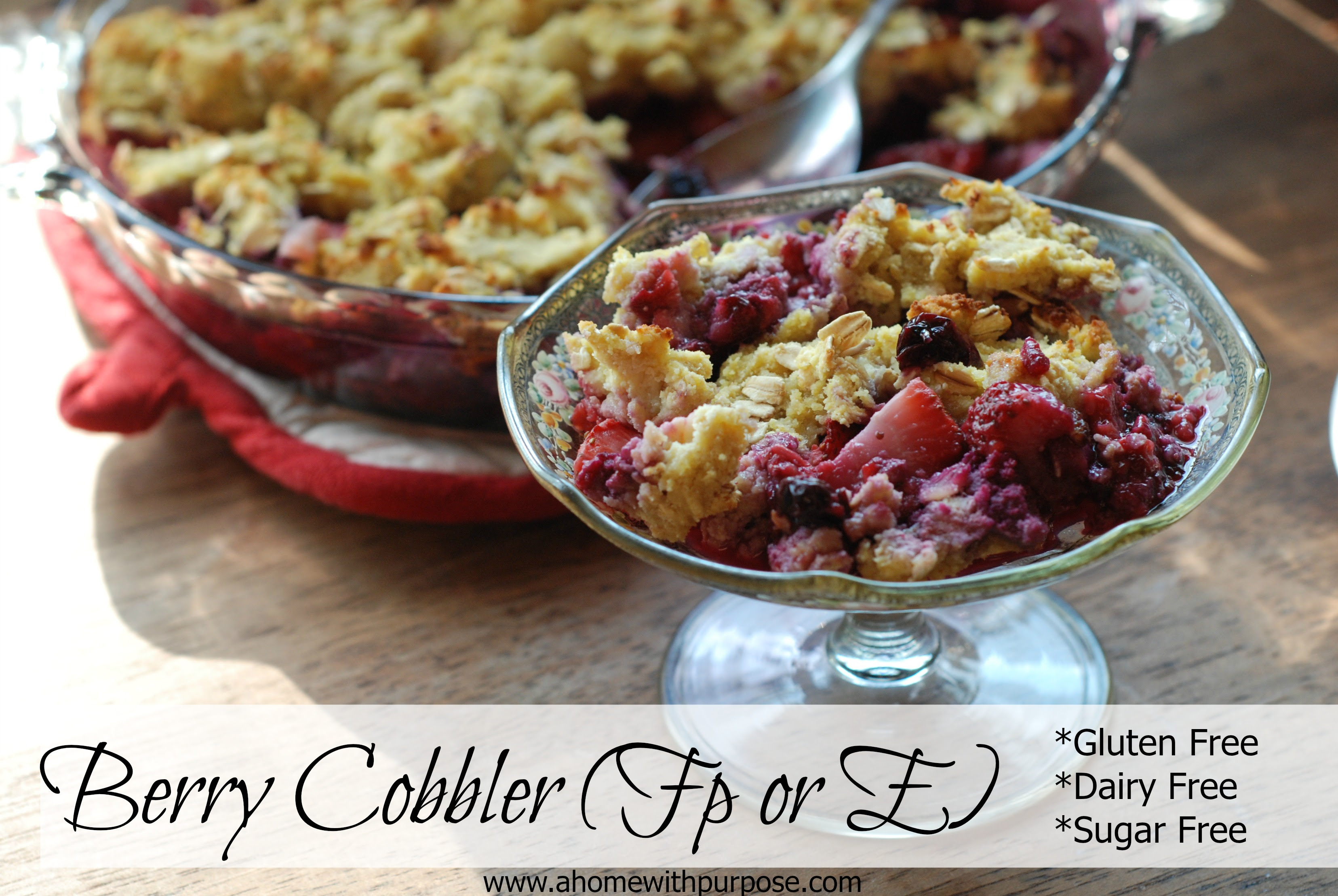 Berry Cobbler ~ GF, Dairy Free and Sugar Free (FP or E ...