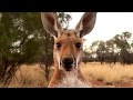 (123MOVIES.HD)WATCH -  Kangaroo  (2018)  full Movie Online - Free download