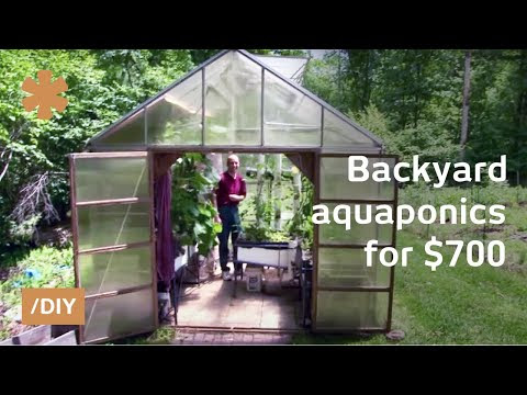 greenhouse aquaponics: diy system to farm fish with