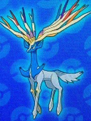99以上 ポケモン ゼルネアス 色 違い ポケモンの壁紙