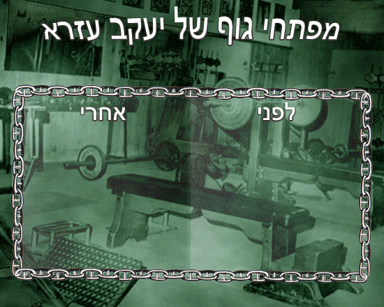 פיתוח גוף