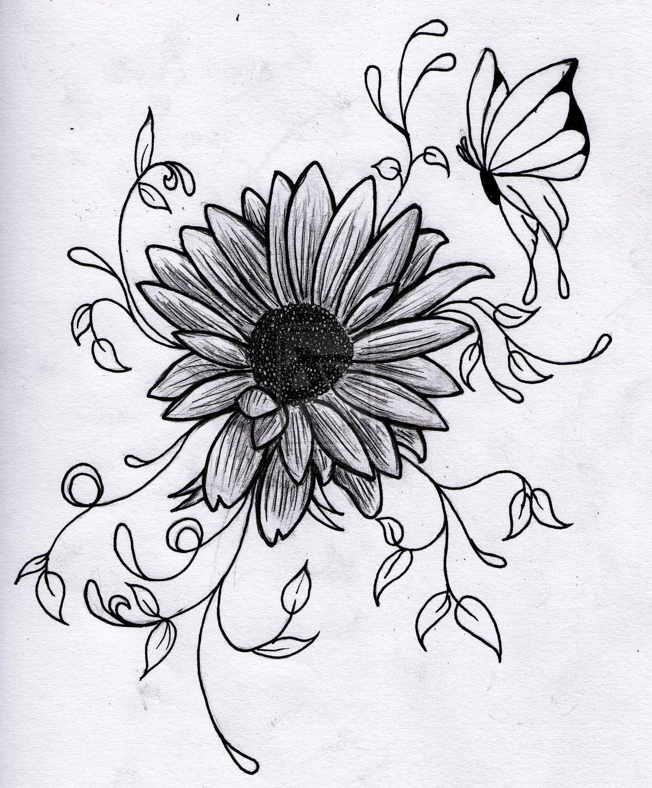 Free Drawing Of Flower Download Free Drawing Of Flower Png Images Free Cliparts On Clipart Library