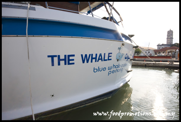 Blue Whale 06