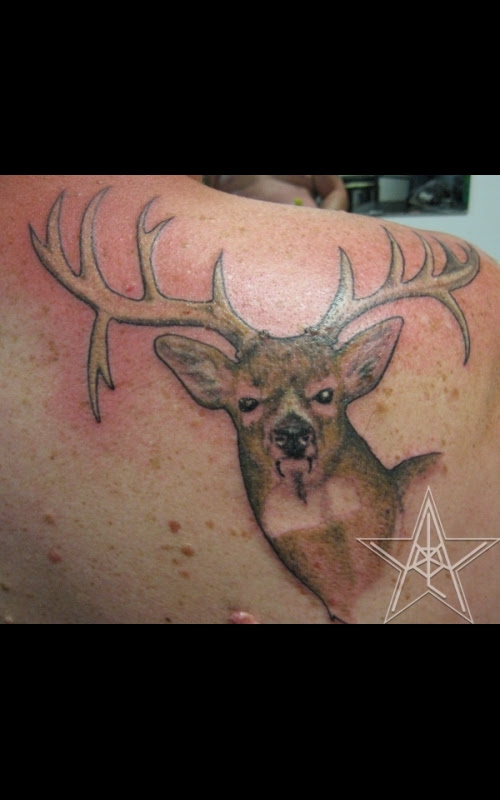 on to cover indented scars face how USA Mammal Muskegon, Michigan, Tattoos on to cover indented scars face how USA Mammal Muskegon, Michigan, Tattoos
