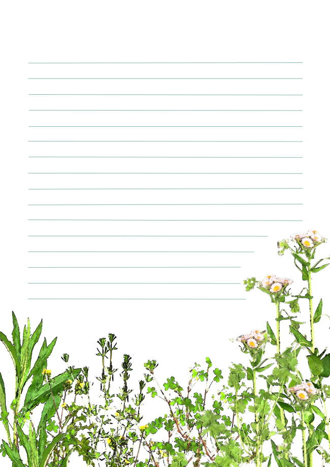 便箋封筒テンプレート 春の野草 わすれな草 こすもす 山桜 ひまわり 萩の花 あび猫本舗