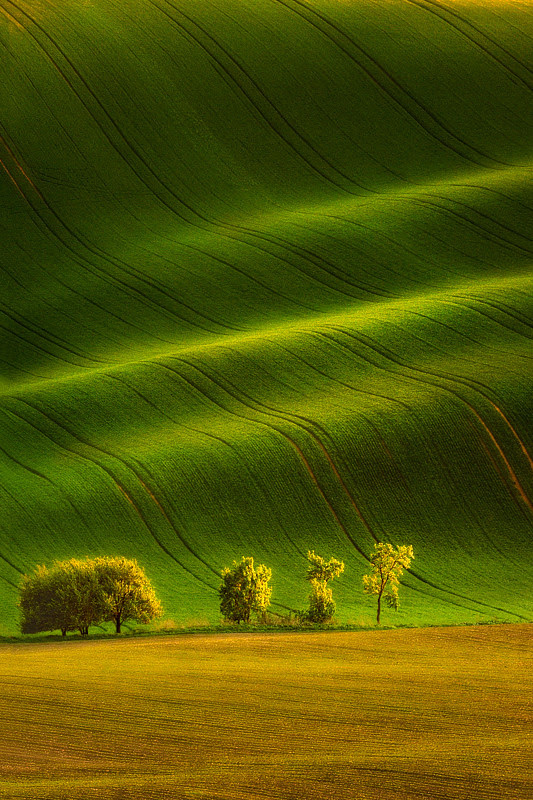 500px favs, rg443