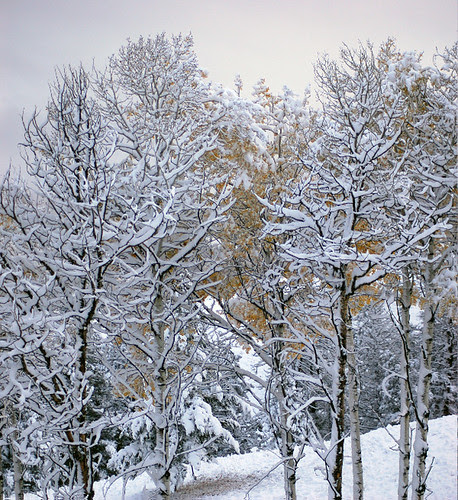 Snow