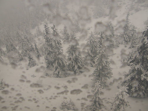 View from the lift